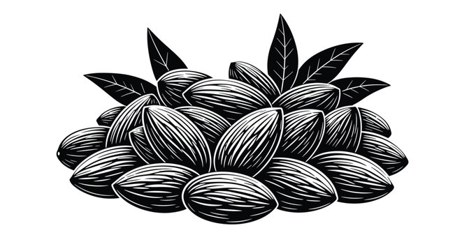 Bold black and white graphic illustration of a large pile of almonds with fresh leaves highlighting texture and contrast for natural food design.