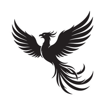 Elegant stylized phoenix bird illustration with outspread wings in flight