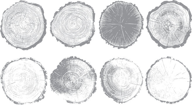 Abstract tree stump texture with concentric growth rings Monochrome wood grain spiral with close up tree rings