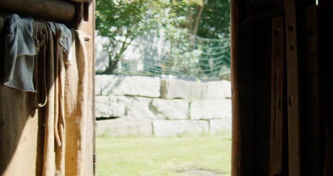 A steady interior shot from a dark, rustic shed looking through an open doorway. The bright exterior reveals a light-colored stone wall and lush green garden trees in sharp contrast to the dim, wooden