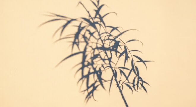 The delicate silhouette of a weeping willow branch casts a long, graceful shadow across a smooth, cream-colored wall during the golden hour, abstract, shadow, aesthetic