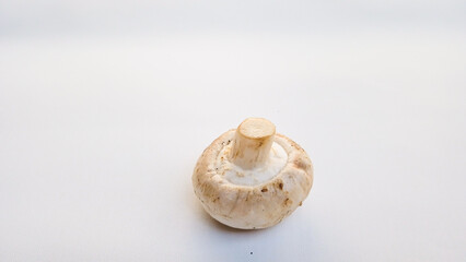 Single edible mushroom isolated on white background. Close up © Beto