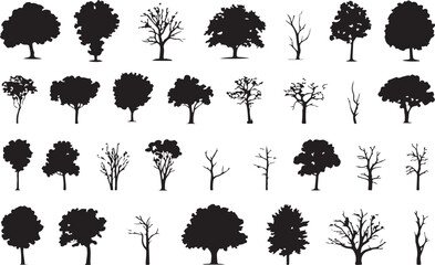 Fototapeta premium Silhouette tree line drawing set, Side view, set of graphics trees elements outline symbol for architecture and landscape design drawing. Vector illustration in stroke fill in white. Tropical