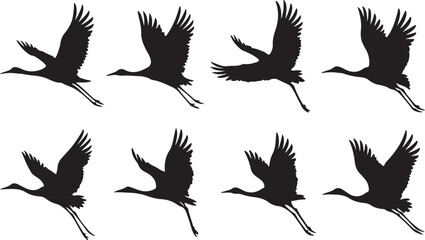Naklejka premium Silhouettes of cranes