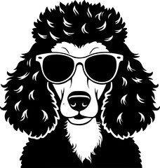 Obraz premium Poodle dog face with trendy sunglasses