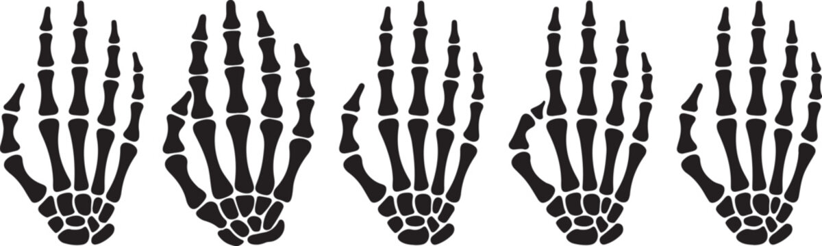 Skeleton hand gestures set. Collection of hand-drawn bones signs. Vector illustration