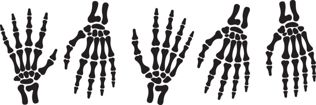 Skeleton hand gestures set. Collection of hand-drawn bones signs. Vector illustration