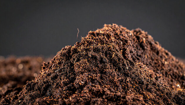 A pile of dark brown rich soil with visible organic matter and fine roots forming a mound against a dark background