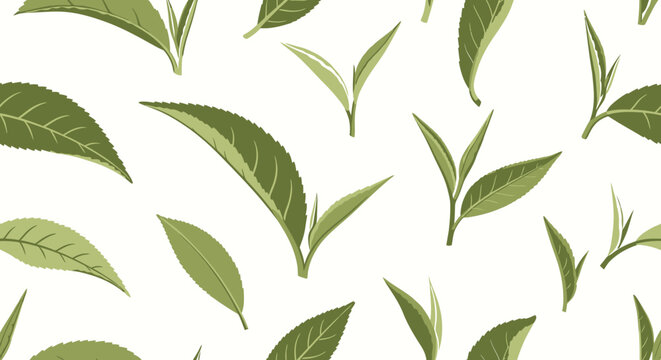 Seamless pattern of fresh green tea leaves illustration.