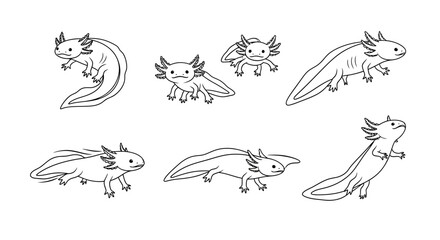 Fototapeta premium Axolotl doodle set in hand-drawn line art style