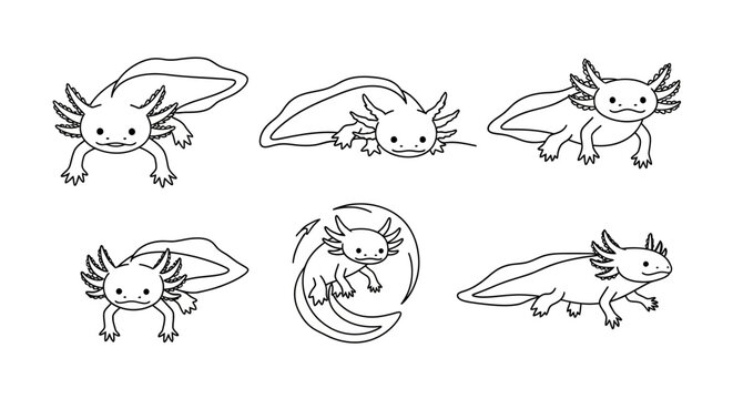 Axolotl Doodles Set, Cute Hand-Drawn Salamanders in Various Poses