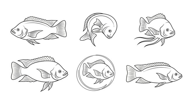 Cichlid Fish Set, Hand-Drawn Sketch Illustrations