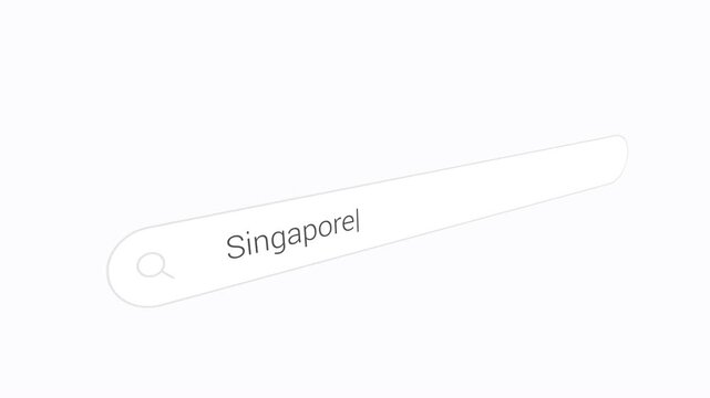 Entering Singapore Into a Search Engine - Close Up