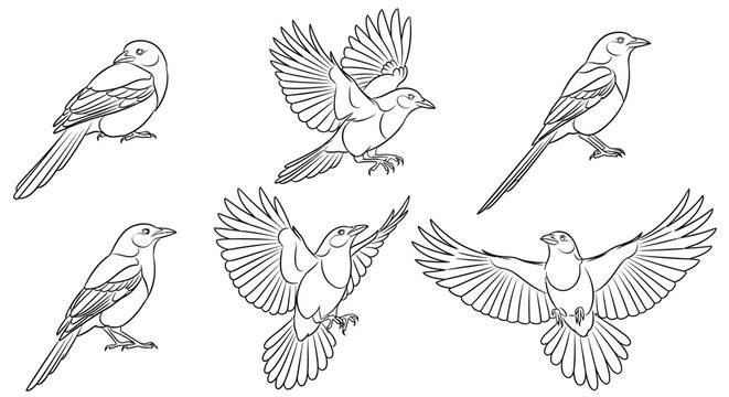 Set of hand-drawn songbirds in various flying and perched poses