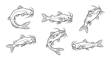 Obraz premium Set of Hand-Drawn Catfish Illustrations in Various Dynamic Poses