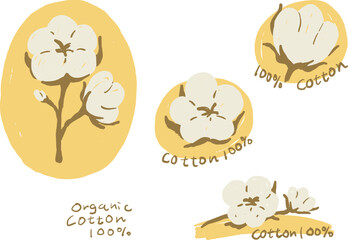 Fototapeta premium Warm, hand-drawn floral illustrations made from organic cotton. / 温かみのある手描きのオーガニックコットンの綿花