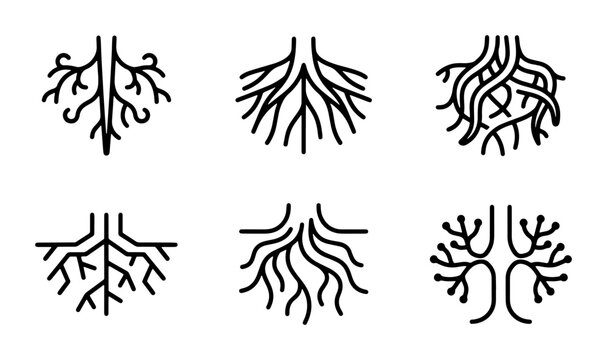 Root System Icons Set, Organic Growth Vector Graphics, Botanical Plant Foundation Symbols, Natural Structure Elements