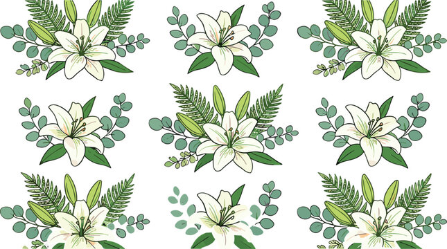 Madonna Lily