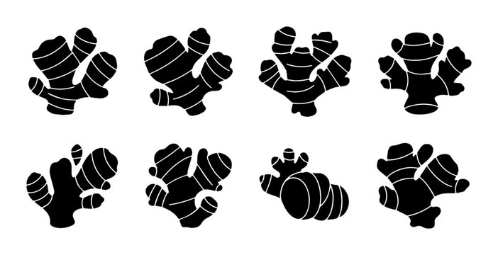 Ginger Root Vector Icons Set, Culinary Spice Ingredient Collection, Healthy Food Element Graphics