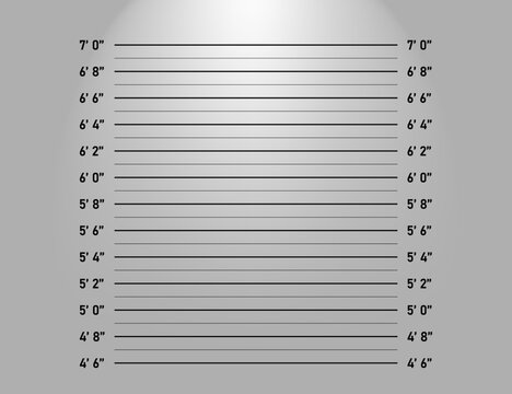 Gray Mugshot Height Measurement Chart with Horizontal Lines and Gradient Lighting