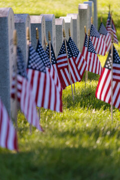 Memorial Day - flags at a military cemetery