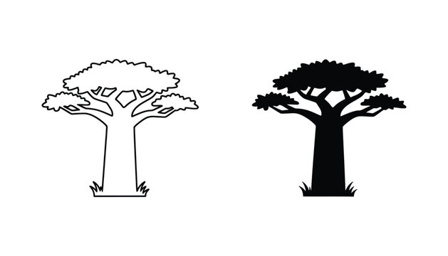 Baobab tree vector illustration in outline and solid black styles for african nature and botanical design projects