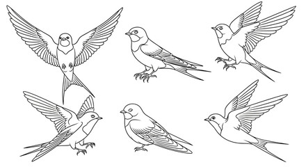 Obraz premium Set of barn swallows in flight and perched line art illustrations