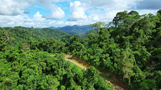 Aerial drone footage of a muddy red dirt road passing thru and old ancient primitive wild forest, composed of many kind of trees, in Sumbawa regency, Sumbawa island, Indonesia