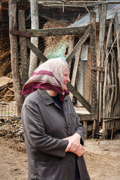Portrait of a Senior Eastern European Woman in Traditional Headscarf in Romania.