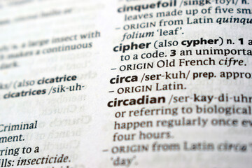 Fototapeta premium English Dictionary Page Close Up With The Word Transcription Of -circa