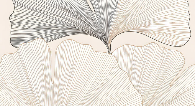Abstract ginkgo leaf line drawing