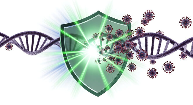 Protecting the body's genetic code from viral invasion with a biological shield of protection and scientific defense