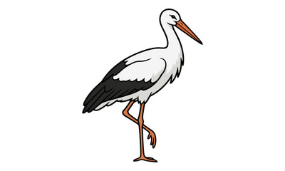 Naklejka premium White Stork Standing on One Leg Isolated on White Background