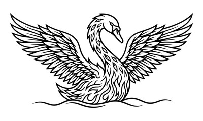 Fototapeta premium Swan line art illustration with spread wings on water