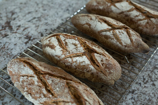 Freshly baked rye bread loaves cooling on a metal wire rack