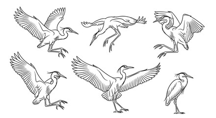 Naklejka premium Set of Hand-Drawn Heron Illustrations in Various Dynamic Poses