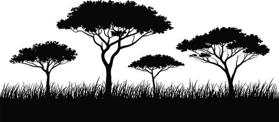 African savanna acacia tree, silhouette, flat vector scene with shrubs, grass and umbrella shaped canopy for nature, ecology and environmental concept design. © Neal Bailey