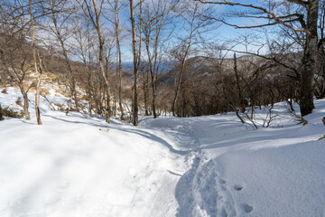 Obraz premium Hiking Routes on Mount Akagi and the Surrounding Area