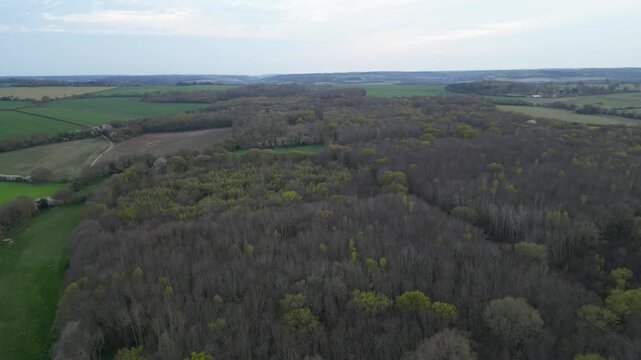 Aerial Drone View of Dense Woodland Forest and Green Fields Adisham Kent UK