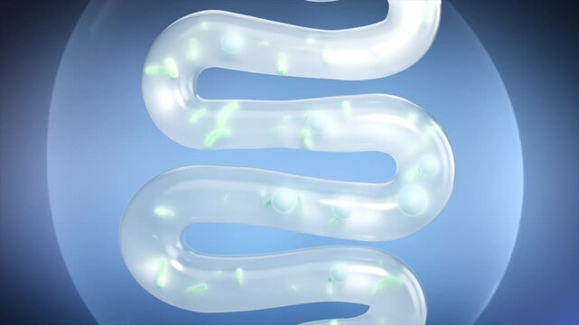 Green intestinal probiotics promote peristalsis, clean stool, activate motility, and remove toxins. Concept of intestinal and digestive system health. 3D animation.