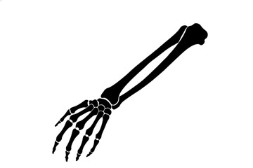 Obraz premium Anatomical Study: A stark, minimalist illustration of a human arm skeleton, capturing the intricate structure and design of the human body.