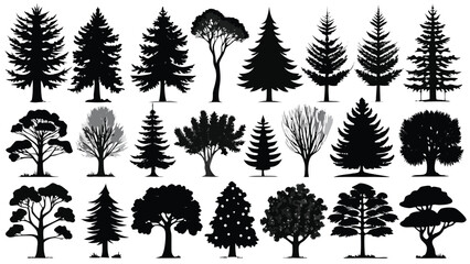 Fototapeta premium Diverse evergreen and deciduous trees in silhouette set against a clean white background