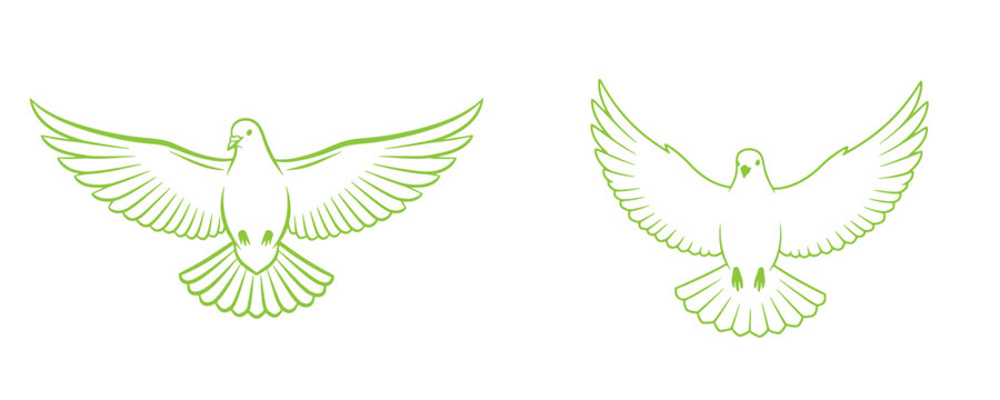 Green line art illustration of two flying doves on white background
