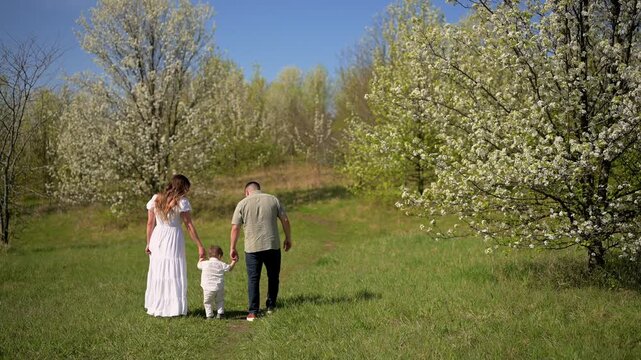 Family walking hand in hand toward blooming spring trees