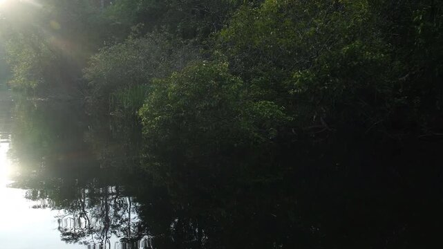 The Sekonyer River flows from Pangkalanbun city into Tanjung Puting Park, which is famous for its rich natural reserve where diverse wildlife is found in the lowland and swampy forest areas.