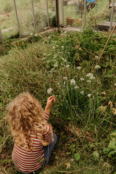 Child Exploring a Greenhouse Garden
