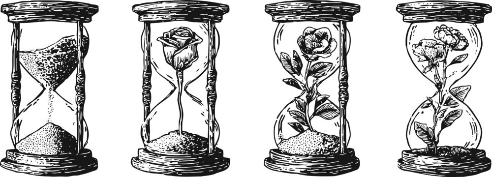 Hourglass flower evolution hourglass with sand and blooming rose in vintage engraving style, growth and time concept illustration