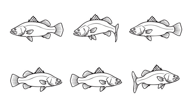 Various fish illustrations vector set with wildlife freshwater illustration collection creature underwater swimming aquaticlife fishspecies ichthyology marinebiology vertebrate