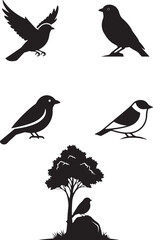 Fototapeta premium set of birds vector