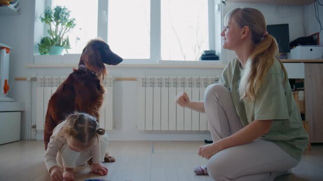 Mom kneels beside toddler on floor. Child plays with puzzle pieces nearby. Dog sits patiently, looking at mom. Mom gently pats dog's head. Scene shows warm, playful family interaction